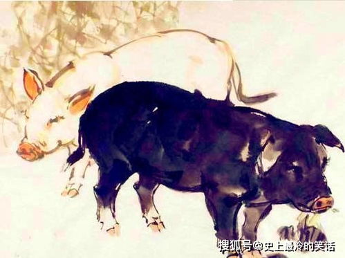 1971年属猪男士在2026年运势如何，那一年他们最旺的饰物是什么？