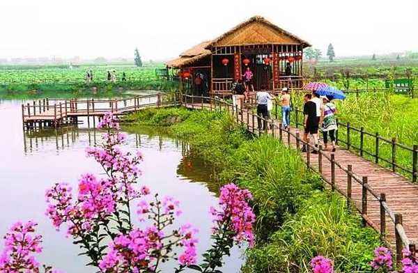 芜湖虹桥村乡村旅游全记录：一次让人崩溃又上头的魔幻之旅