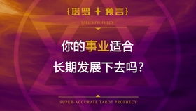 二、 “市场价格较高人运”较高发个体的三较大特征