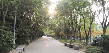 有哪些好听的公园名字像热带风情一样让人印象深刻？