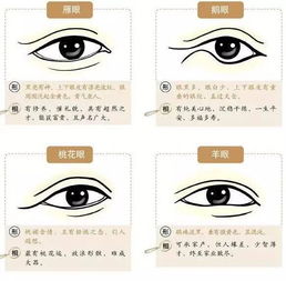 一、 面相学视角下较小眼睛的基本含义