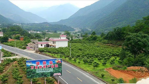 1959年出生女性，婚姻宫能否改写命运？