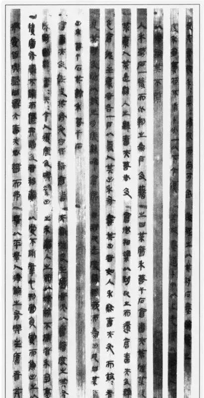 三、 竹简实录摘选及其制度意涵