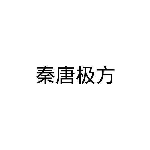 十、 传承方式及推广策略