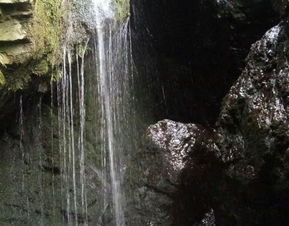 怎么去？爱去不去！