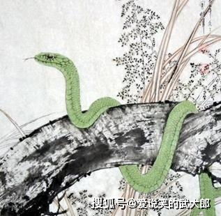 2026年属蛇人的事业和学业会有怎样的变化和表现？