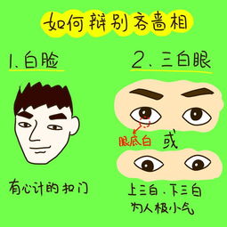 如何通过面相特征来判断一个人是否具有小气倾向？