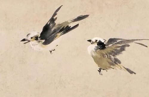 63年属兔女性最近感情运势如何，今日运势怎样？