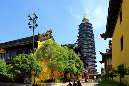 #天坛#——祭祖祈福之地，也是自拍神器。