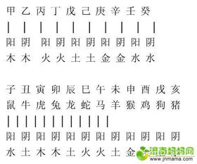 命字的五行属性是什么？它与五行中的哪一属性相对应？
