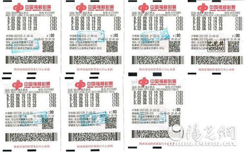 （二）支数范围选择——基于奇偶倾向及人元甲之五子元遁的复合约束