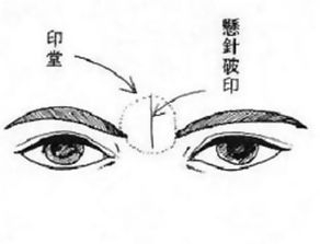 第三章：风水布局与环境能量的外化调和