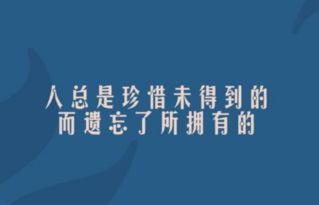六、案例乱弹：从“网瘾王子”到“轻盈飞鸟”的奇幻蜕变（真实+虚构混杂）