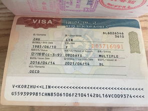 哎呦喂！我被“魔者阝”的车费榨干了！