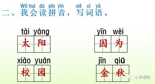 1.1 报时起课法的操作流程