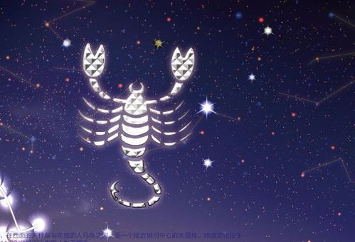 星座恋情持久性分析：探寻情感模式与行为逻辑