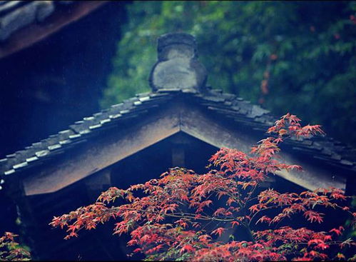 第二章：五行流转与风水场域的能量调适