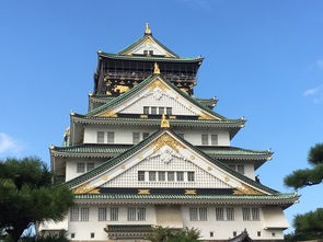 晋韵佳人名字解析