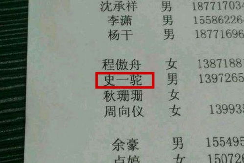 二、 彤姓女孩名字的文化内涵