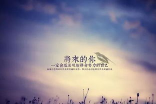 二、 改名学角度：命名之美与文化内涵