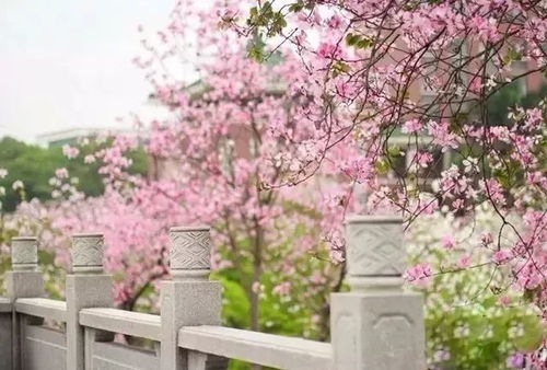 重点打卡地点！（重要的事情说三遍！）