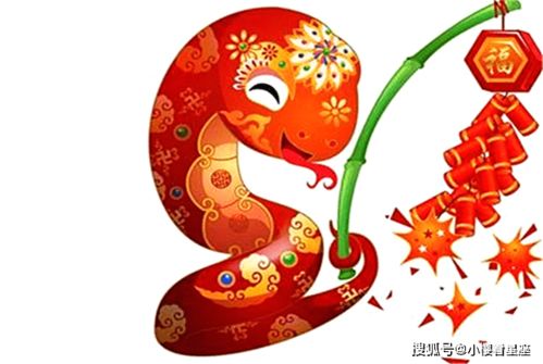 蛇（巳）——智慧驱动的财富有突破