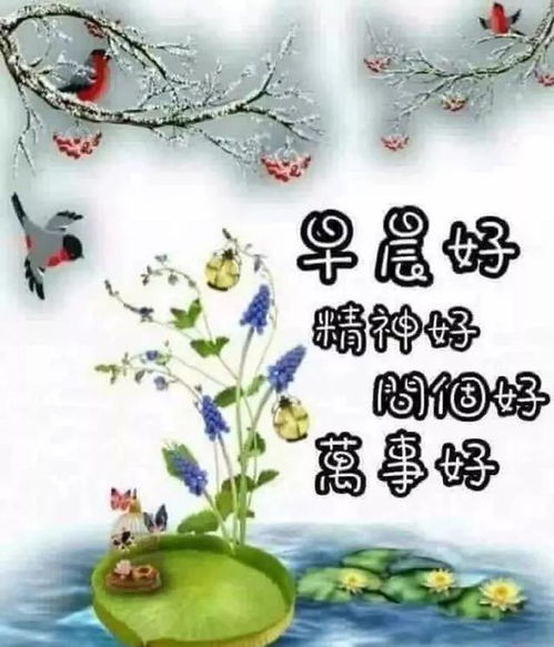 岁月静好， 稳如泰山：一种对生活的美好期许