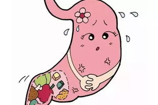 3) 饮食结构与糖基化产物累积