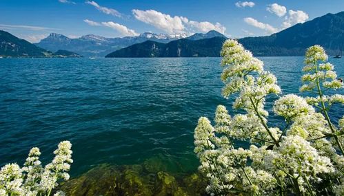 龙年的文化象征及其对新生儿的影响
