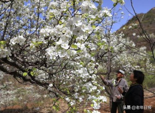 单身贵族们注意啦！