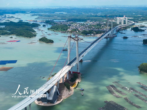 交通：一场混乱的冒险