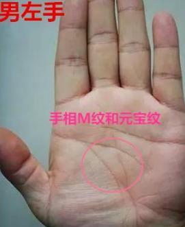 树枝分叉型——多元人格并存之象征