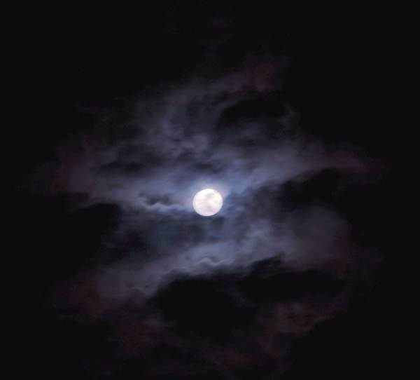 ：月黑风高之夜与诗中幽影的文化意蕴