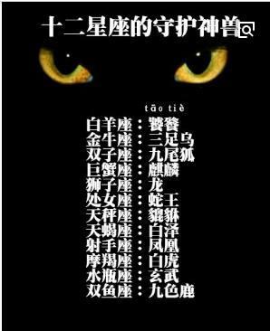 属龙双子座女性2026年农历十二月运势如何？