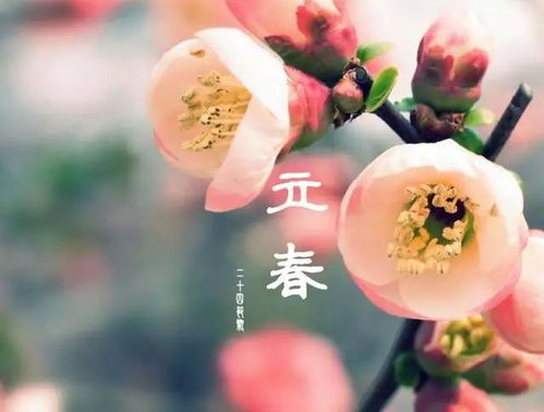 一、 2023 年双春闰月的历法背景