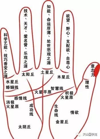 七、 掌纹单手断掌/双手断掌——独立创新倾向