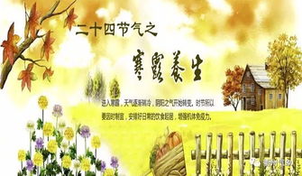 寒露至霜降：阴阳消长的节点