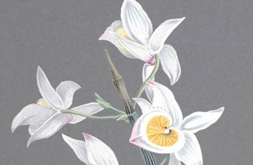 不宜进行之活动及缺失之吉神信息