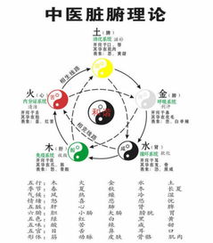 算八字和五行哪个更上更具有可靠性？