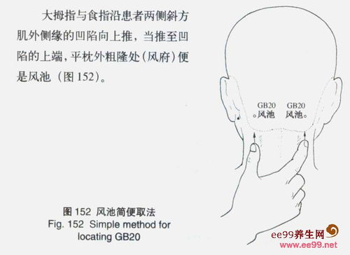 中医穴位与外部干预策略