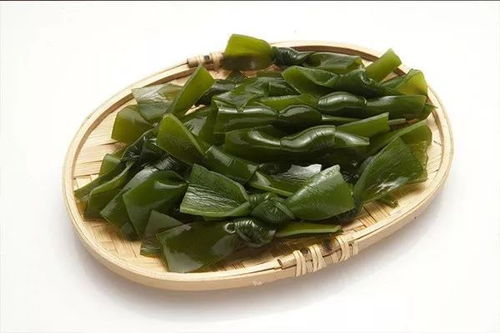 裙带菜 - 海里来的救星