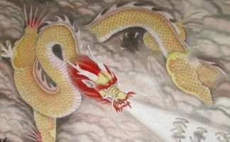 2026年属龙人官运手机号如何解析？属龙手机号哪个最旺财？