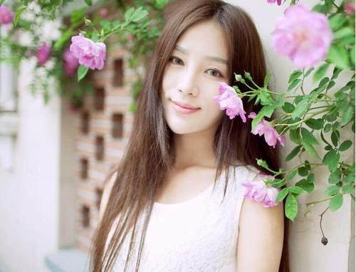 第一章：丹凤眼形态学特征与性格特质的深度解析