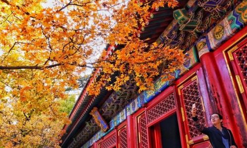 团体票的 “折扣玄机”：十人以上8折 必须要提前三天预约