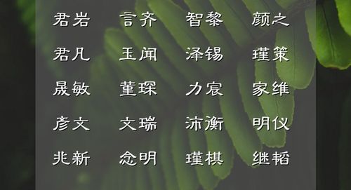 1.1 名字要有点“风韵”， 但别太风（风）