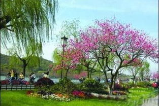 一、 交通：一场大型“生存挑战”