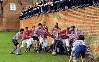 体育教育的启示：对当代社会的反思