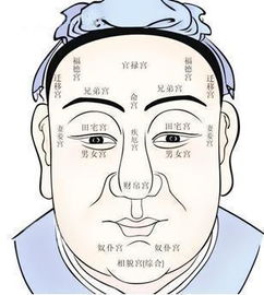 额头凹陷：领导力与判断力的潜在缺失