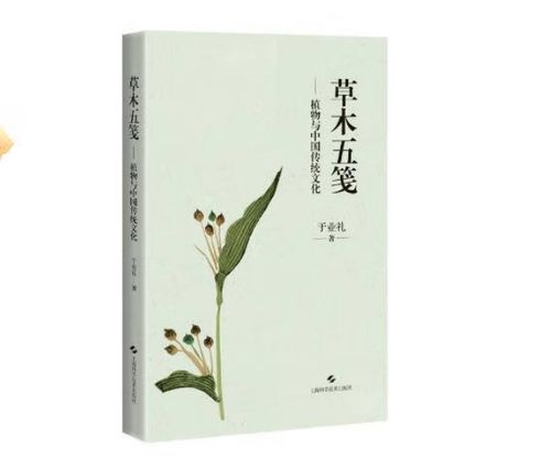 一、  绪论：生生之学的哲学溯源与核心意蕴