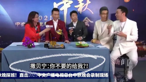 央视撒贝宁在舍得酒厂以实际行动证明